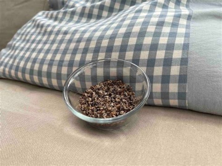 Are buckwheat pillows worth it?