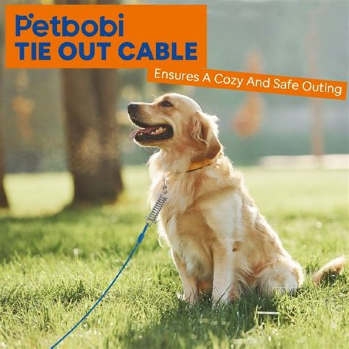 Are dog tie outs safe?