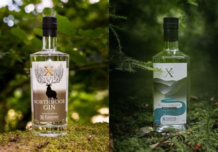 Are gin and vodka good together?