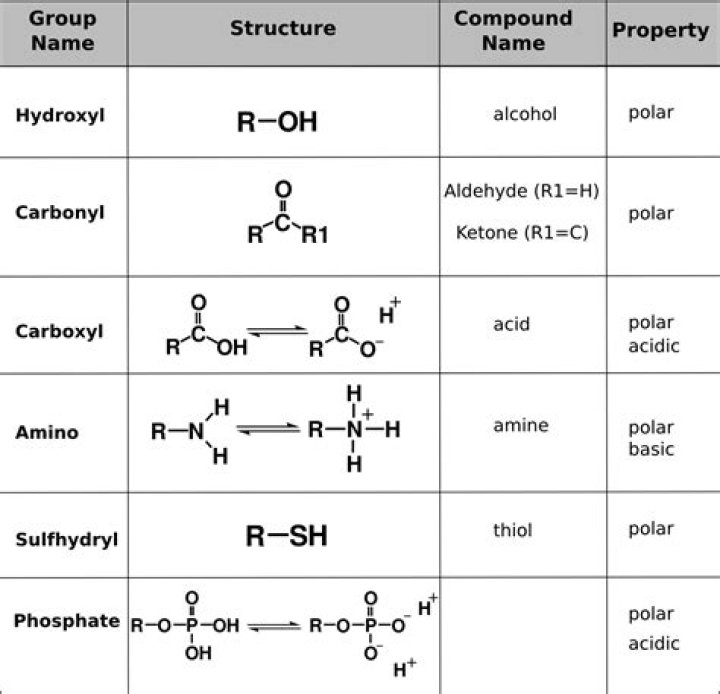 Are hydroxyl groups very polar?