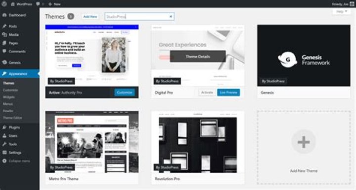Are StudioPress themes good?