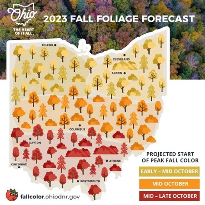 Are the leaves changing in Hocking Hills Ohio?