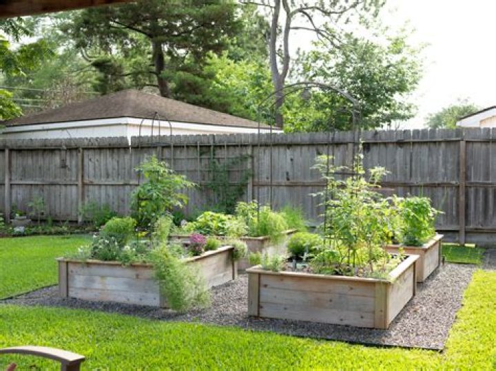 Are you supposed to mulch raised garden beds?
