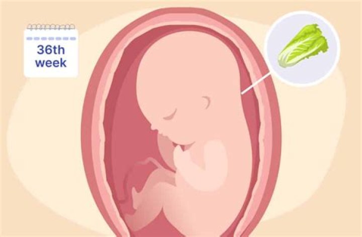 Can a preemie go home at 36 weeks?