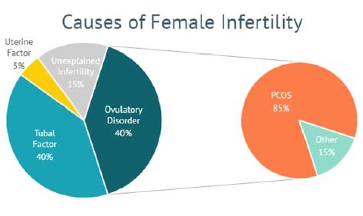 Can MTHFR cause PCOS?