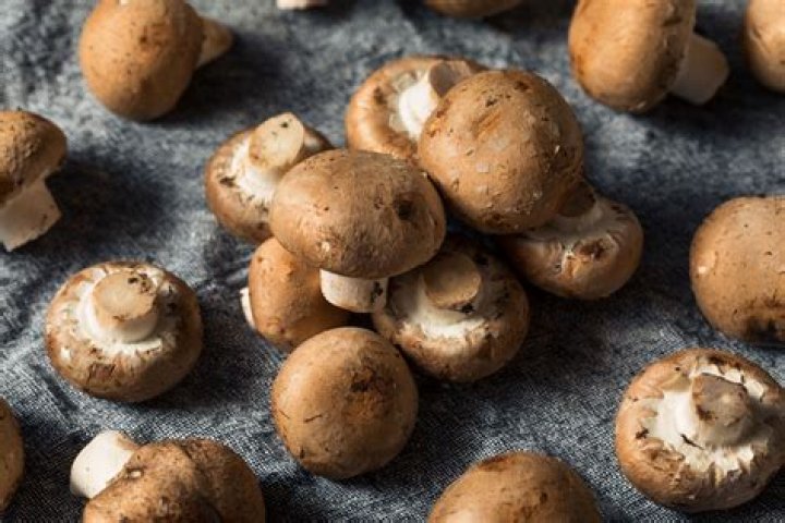Can you eat portobello spores?