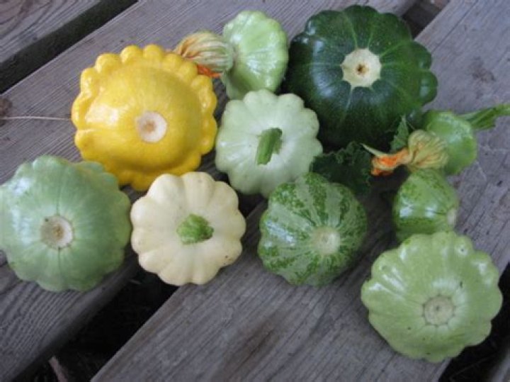 Can you freeze patty pan squash whole?