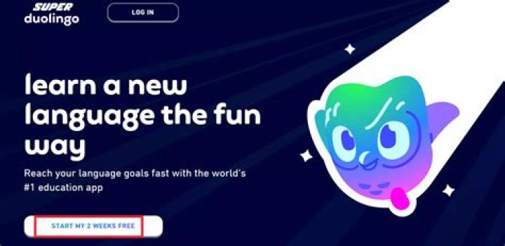 Can you get duolingo Plus for free?