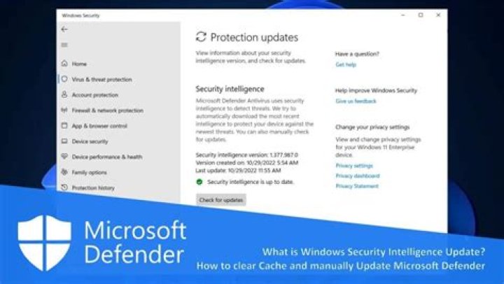 Can you manually update Windows Defender?
