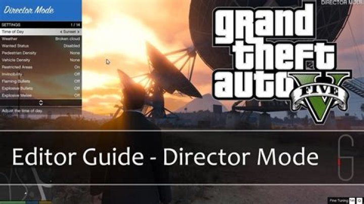 Can you play GTA online Director mode?