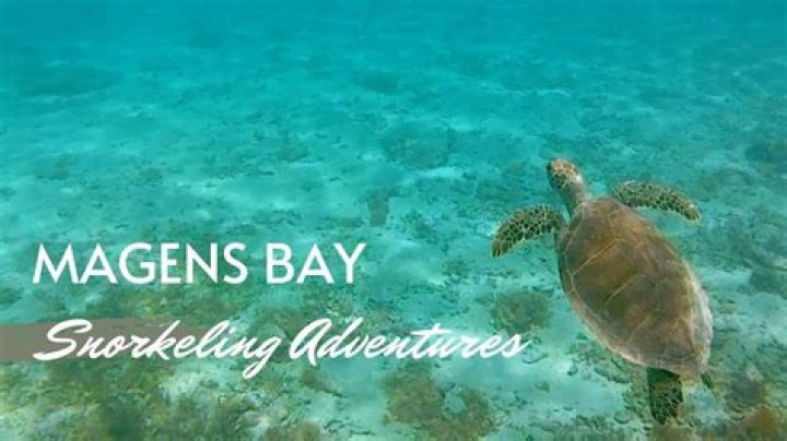Can you rent snorkel at Magens Bay?