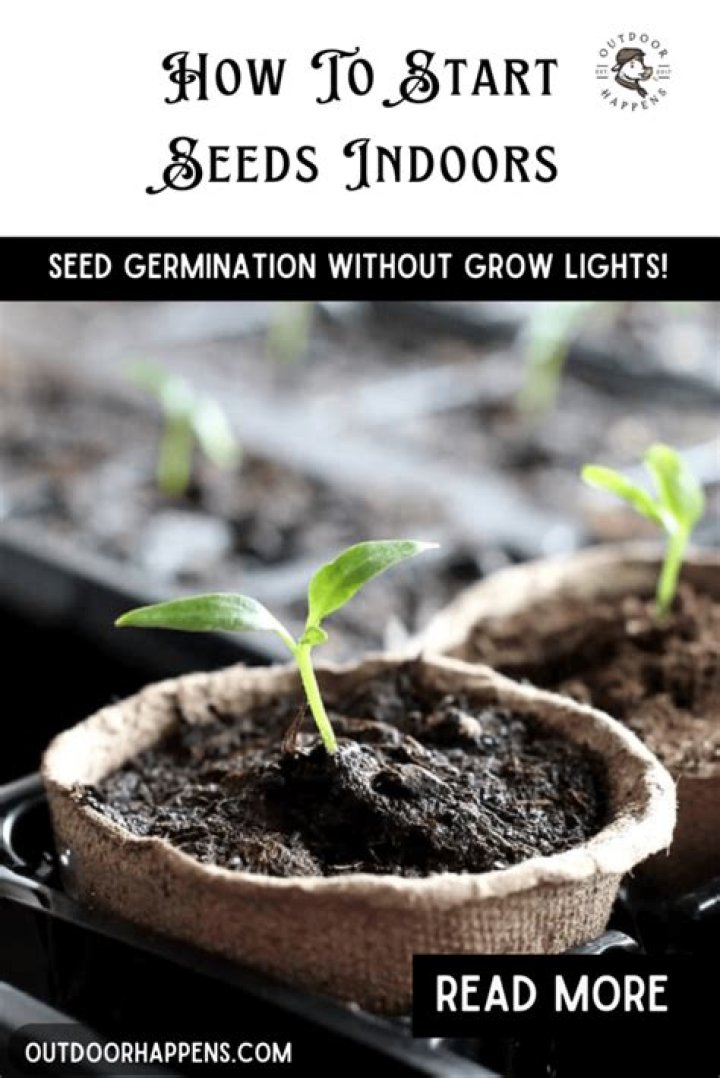 Can you start seeds indoors without a grow light?