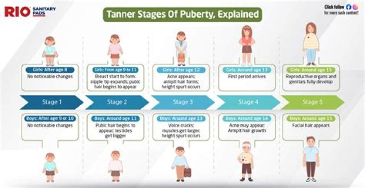 Can you still be in puberty at 25?