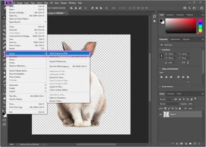 Come rendere trasparente un logo con Photoshop?
