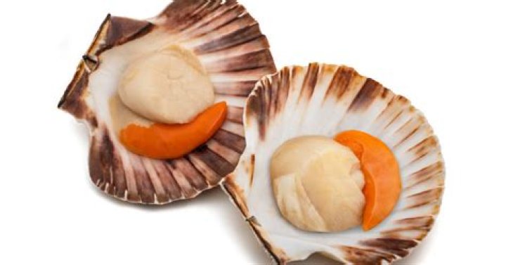 Comment laver coquille Saint-jacques?