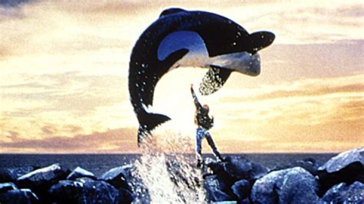 Did they use real killer whales in Free Willy 2?