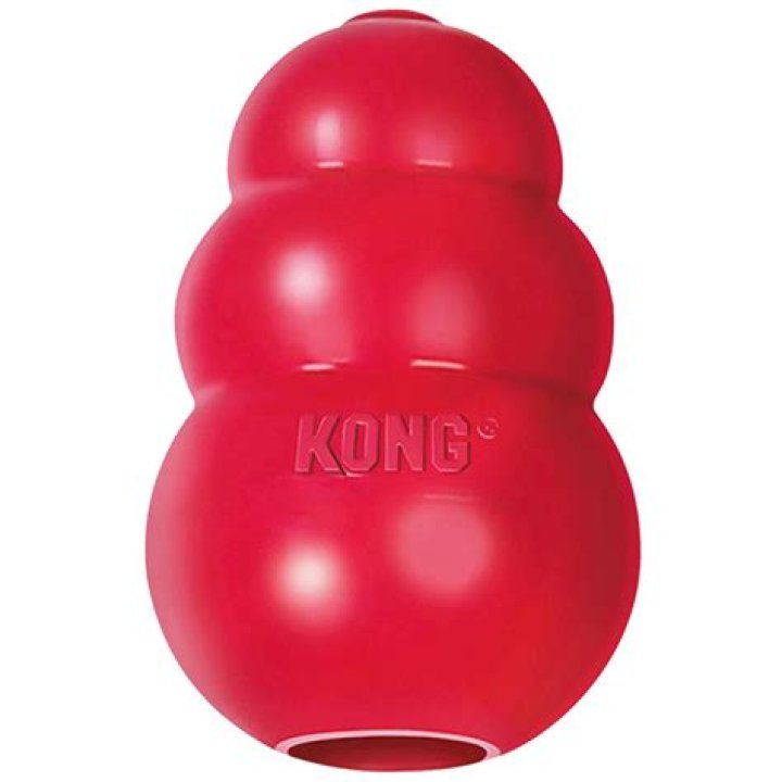 Do dogs need soft toys?