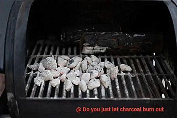 Do you just let charcoal burn out?