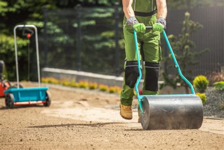 Does a lawn roller Really Work?