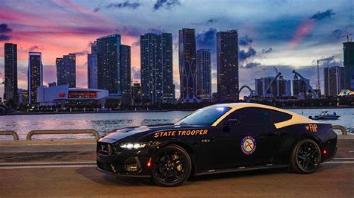 Does FHP have Mustangs?