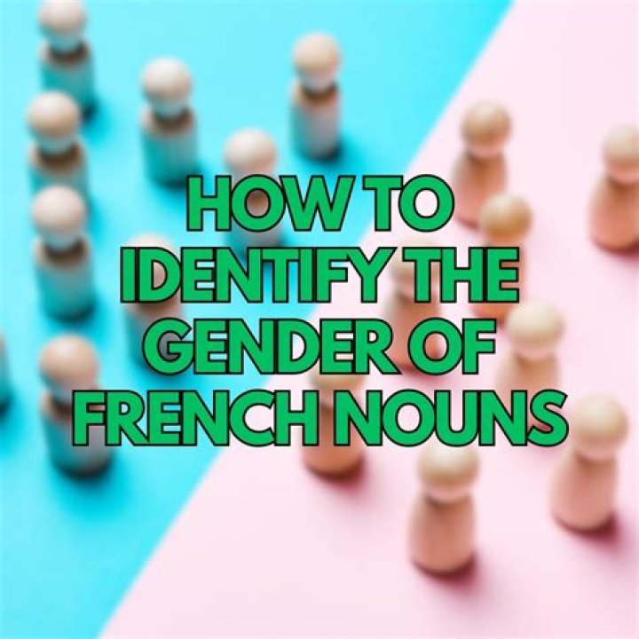 Does French nouns have gender?