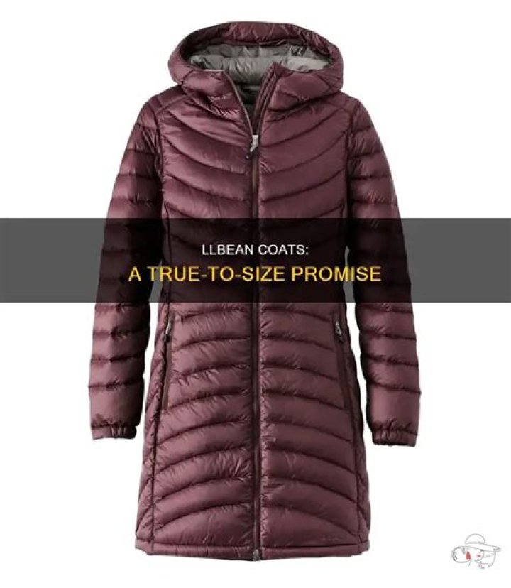 Does Llbean run large?
