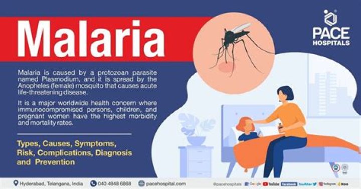 Does malaria need iron?