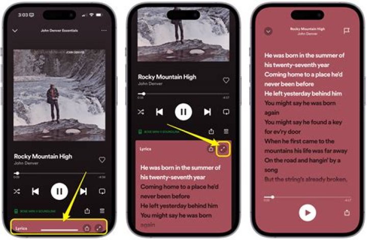 Does Spotify app have a Visualizer?