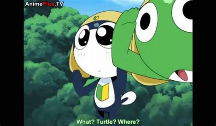 Does Tamama have a crush on Keroro?