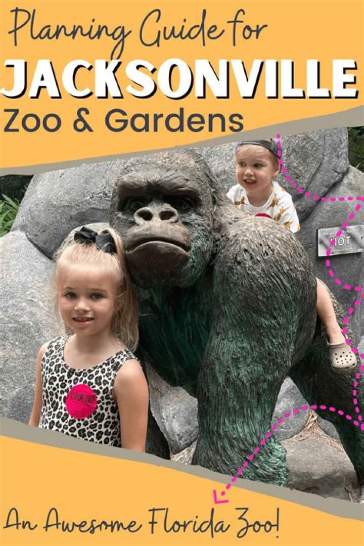 Does the Jacksonville Zoo have bears?