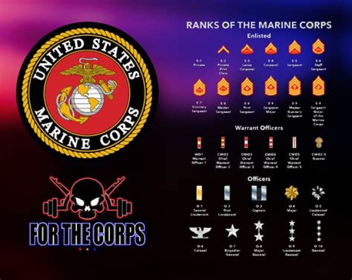 Does the Marines have a k9 unit?