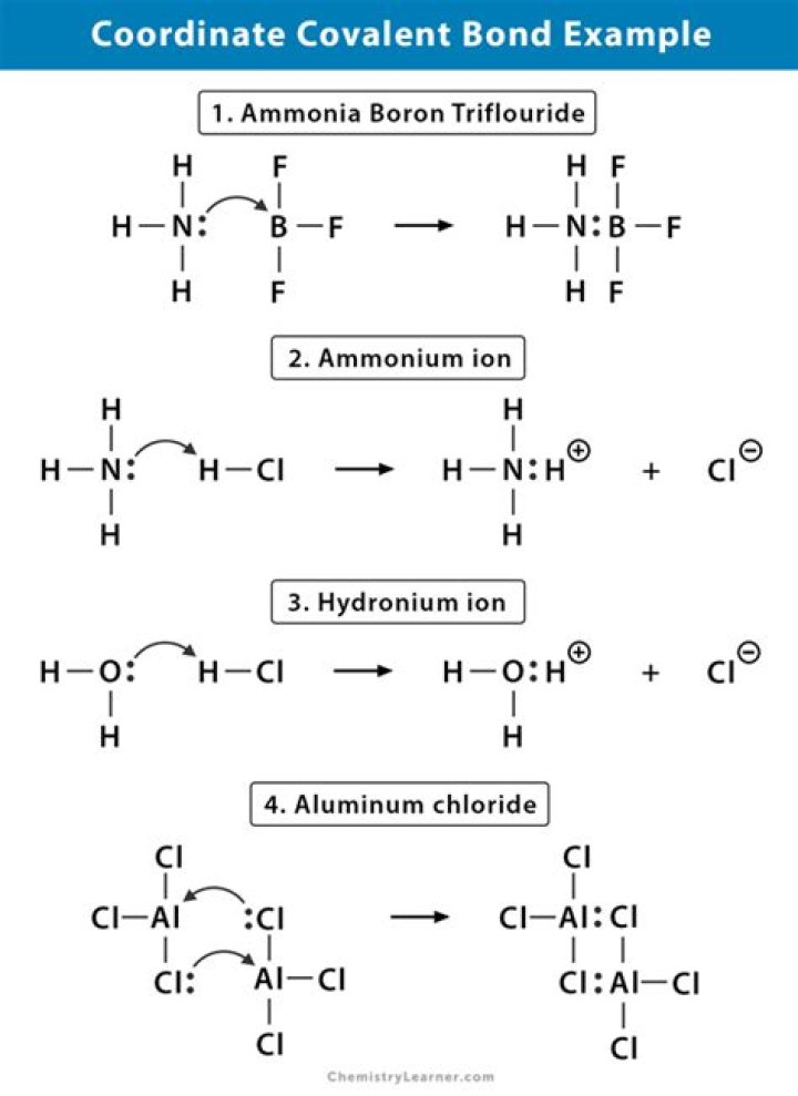 How are coordinate bonds formed in transition metals?