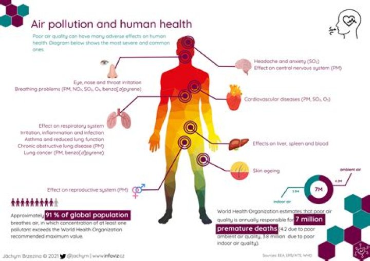 How are industrial pollution and human health connected?