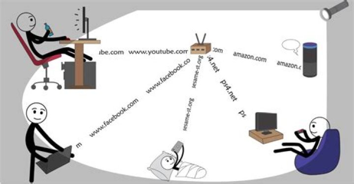 How can I see internet activity on my network?