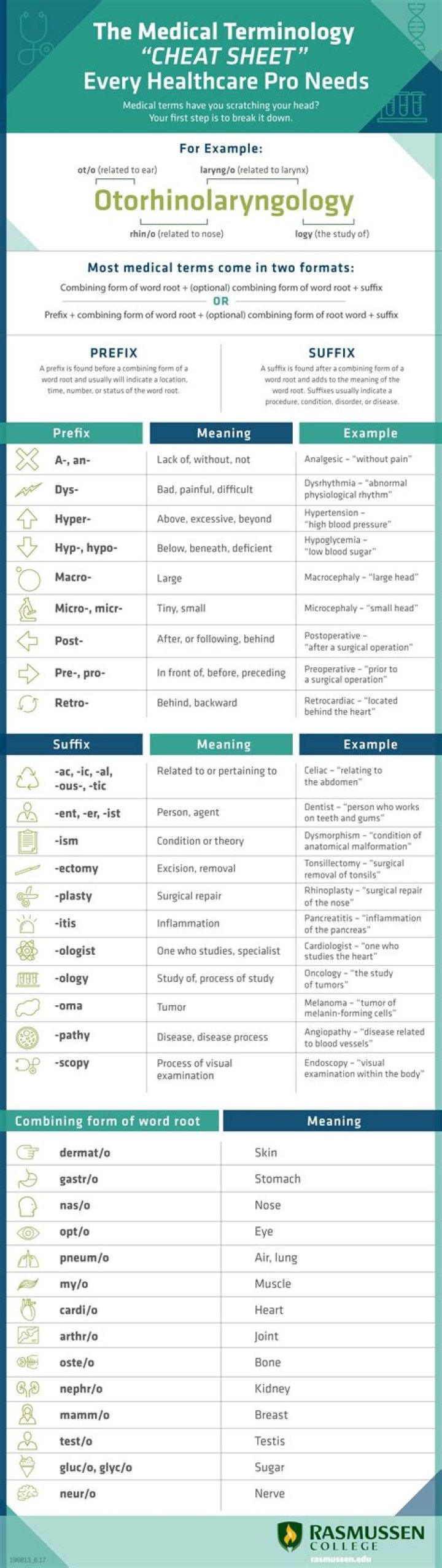 How can I study medical terminology fast?