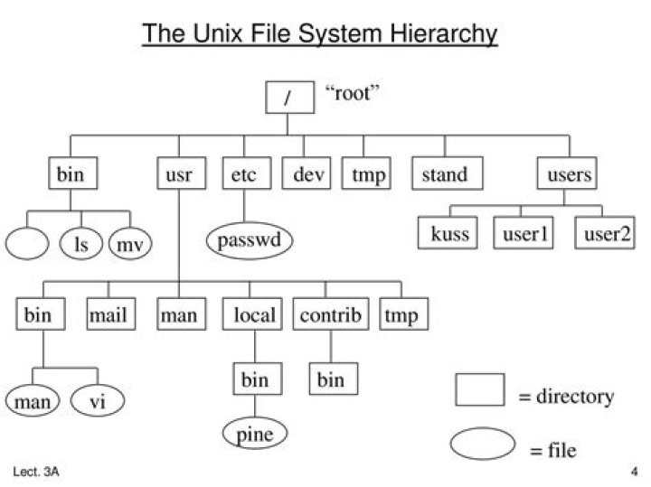 How can you tell who created a file in Unix?