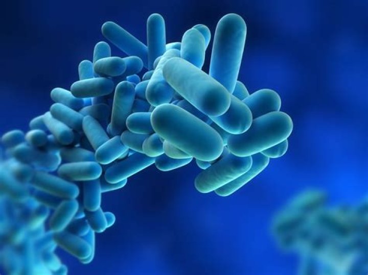 How common is Legionella Longbeachae?