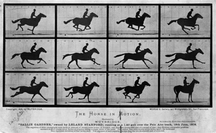 How did Eadweard Muybridge make the horse in motion?