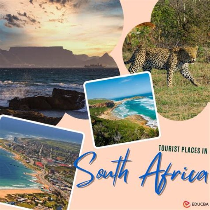 How do I become a registered tour guide in South Africa?