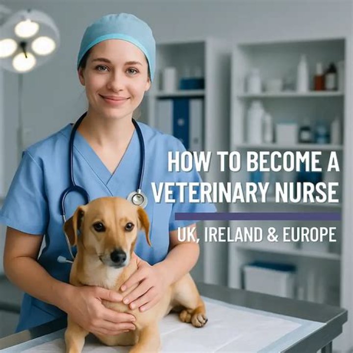 How do I become a Veterinary Nurse in Ireland?