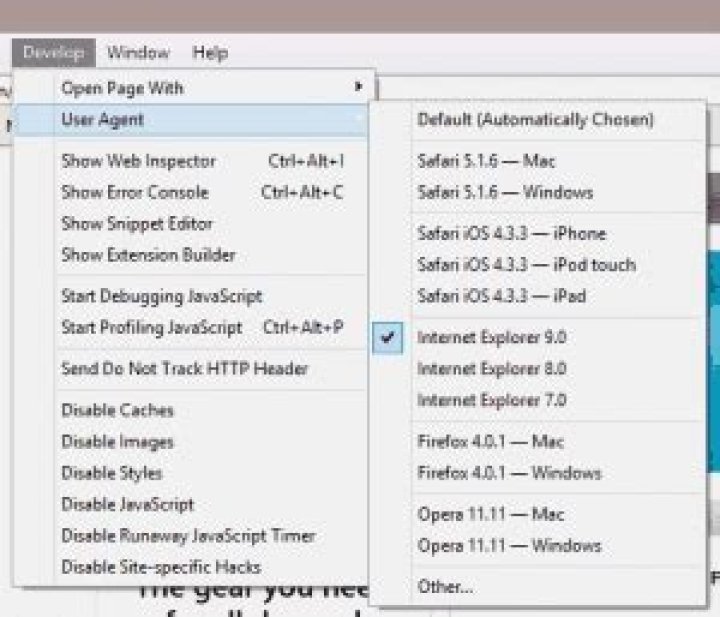 How do I change user agent in Safari on iPhone?