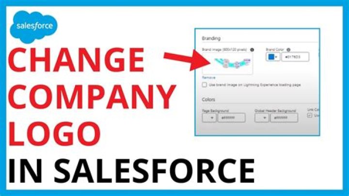 How do I display my company logo in Salesforce?