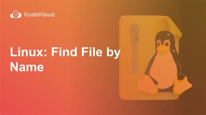How do I find file details in Linux?