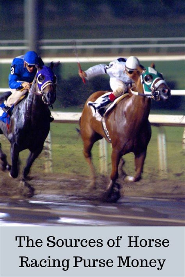 How do I find my horse racing records?