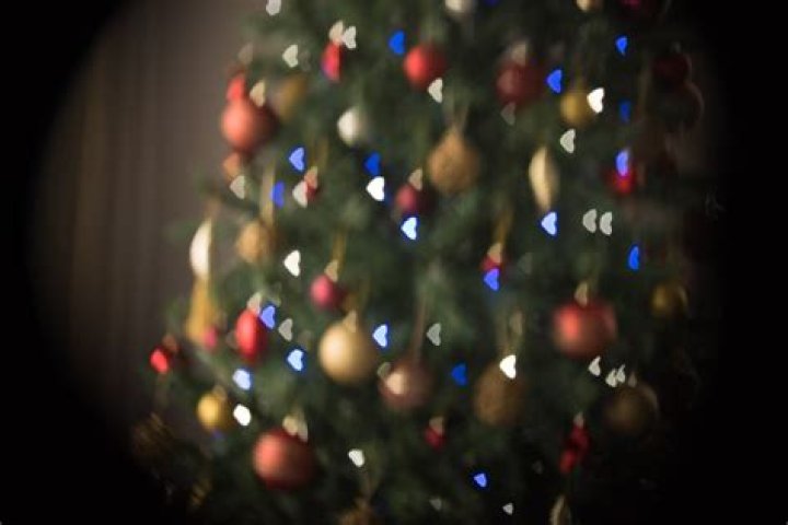 How do I get bokeh filter?