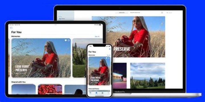 How do I get my photo stream photos back?
