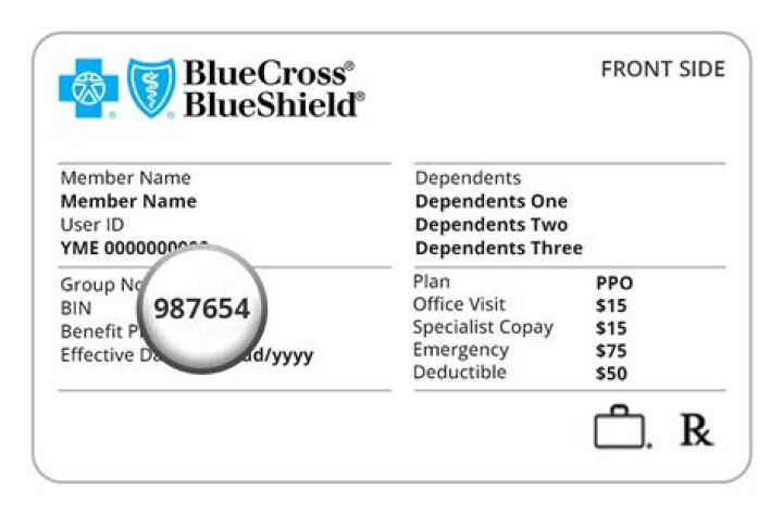 How do I know if my Blue Cross Blue Shield is PPO or HMO?