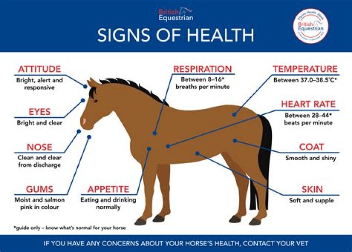 How do I know if my horse is Futurity eligible?