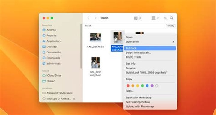 How do I recover items from Apple Trash?