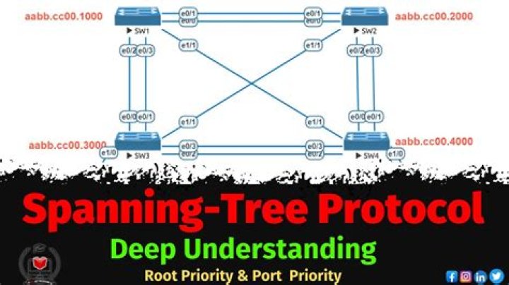 How do I see spanning tree priority?